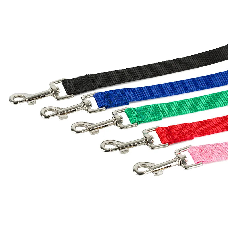 Durable Nylon Dog Training Leash & Collar Set 🐾🎯