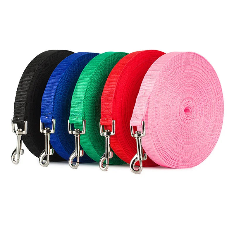 Durable Nylon Dog Training Leash & Collar Set 🐾🎯