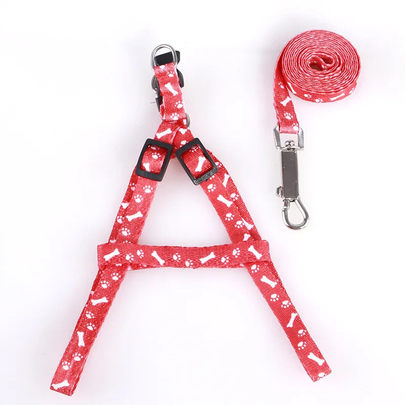 Cute Puppy & Kitten Leash & Harness Set 🐾💖
