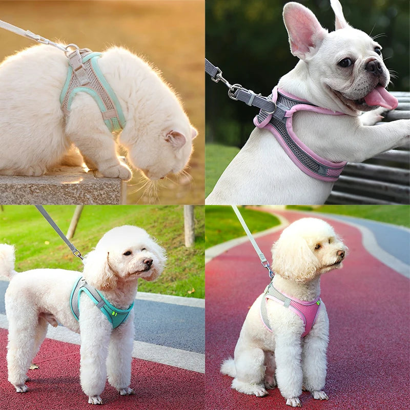 Adjustable Cat & Dog Harness Leash Set for Outdoor Adventures 🐾🌳
