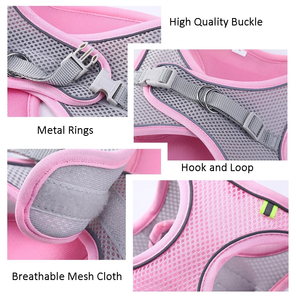 Adjustable Cat & Dog Harness Leash Set for Outdoor Adventures 🐾🌳