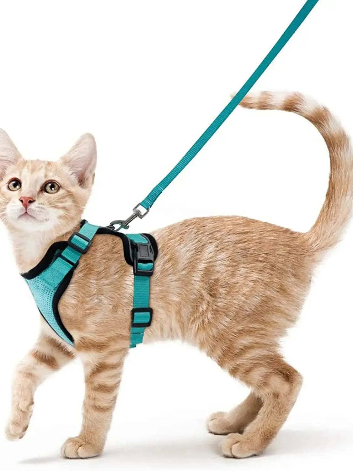 Escape-Proof Cat Harness & Leash for Walking 🐱💨