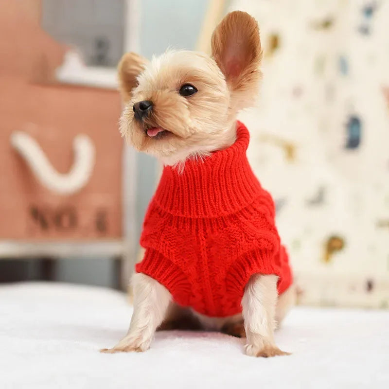 Knitted Winter Pet Sweater 🧶❄️