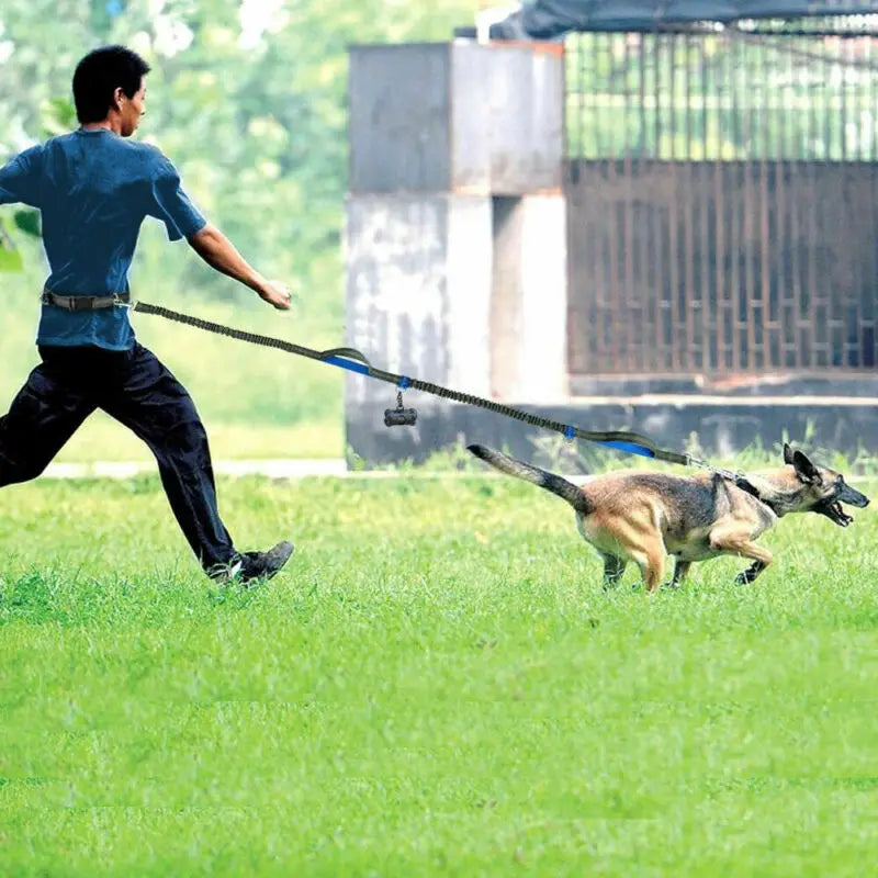 Reflective Elastic Dog Leash for Jogging & Running 🐕💨