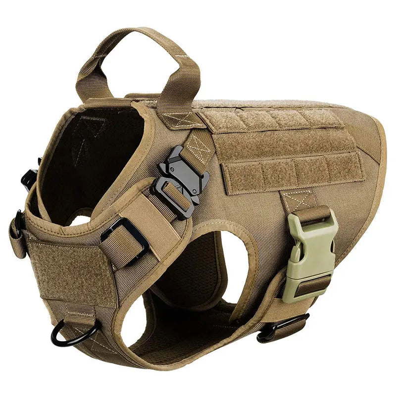Durable Dog Harness & Leash Set for Large Breeds 🐾💪