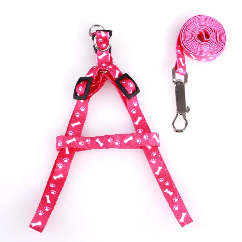 Cute Puppy & Kitten Leash & Harness Set 🐾💖
