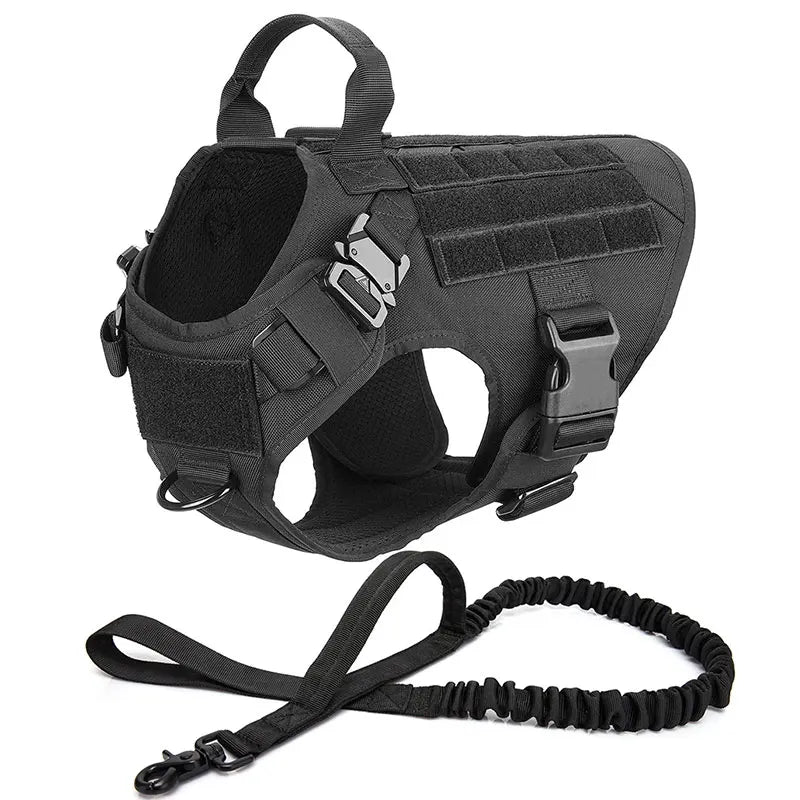 Durable Dog Harness & Leash Set for Large Breeds 🐾💪