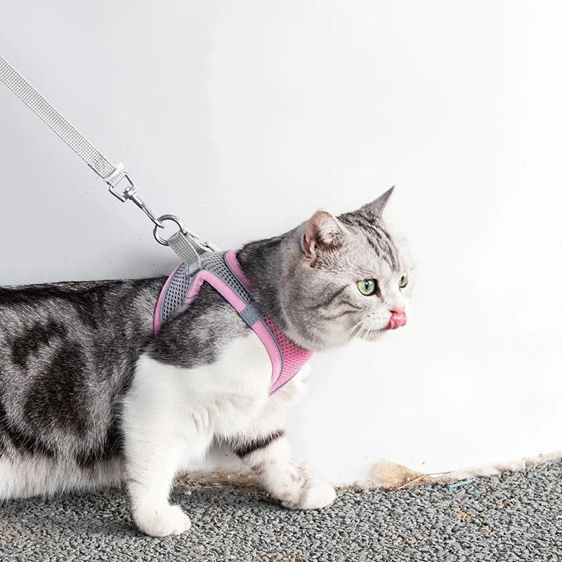 Adjustable Cat & Dog Harness Leash Set for Outdoor Adventures 🐾🌳