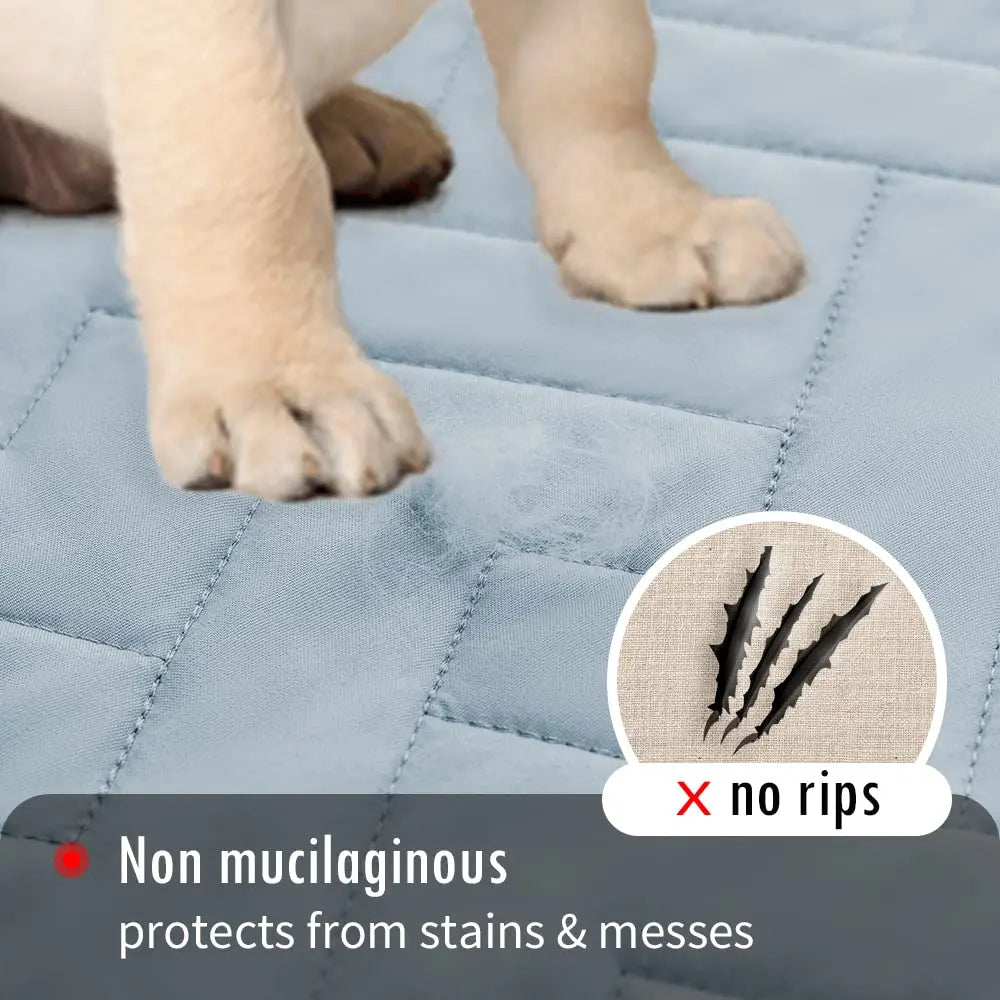 Waterproof Pet Bed Cover & Blanket 🛋️🐾