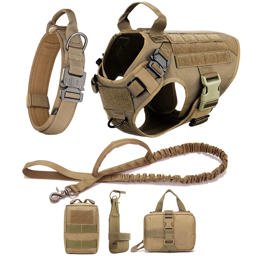 Durable Dog Harness & Leash Set for Large Breeds 🐾💪