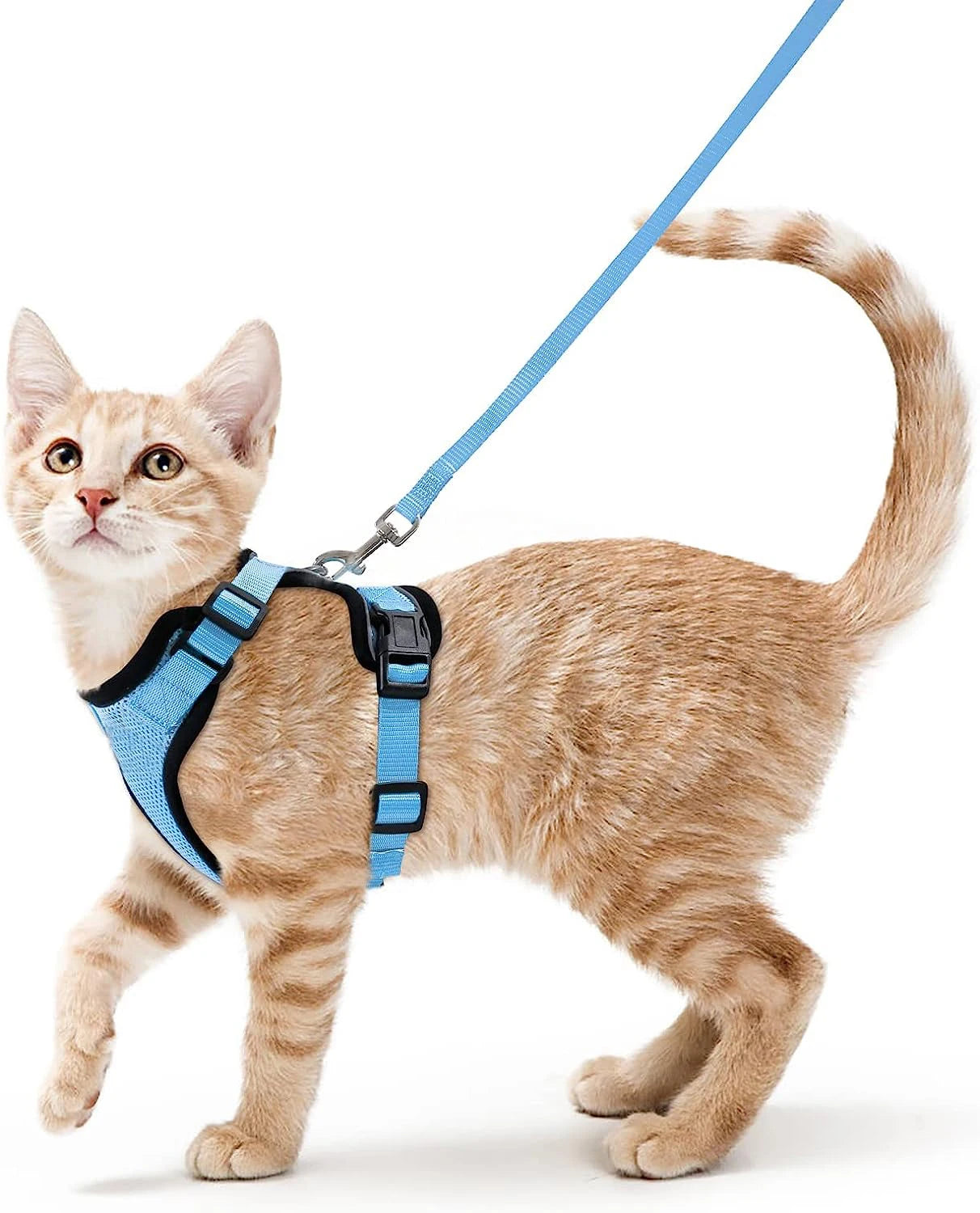 Escape-Proof Cat Harness & Leash for Walking 🐱💨