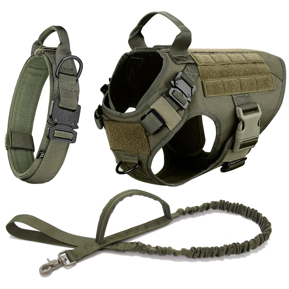Durable Dog Harness & Leash Set for Large Breeds 🐾💪