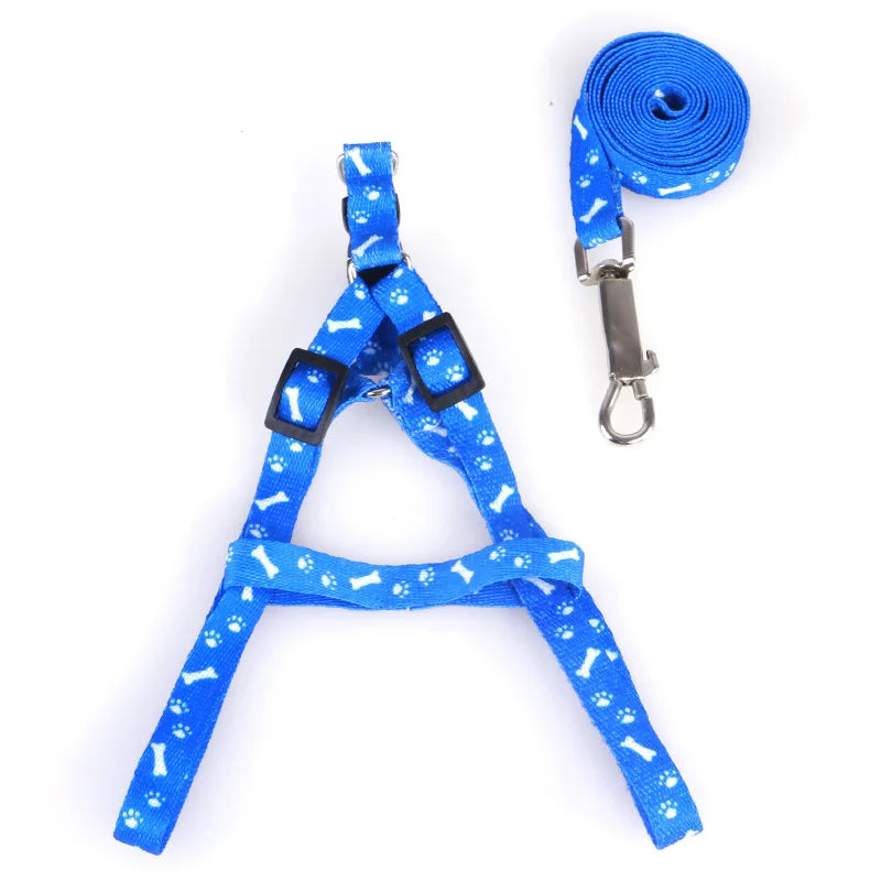 Cute Puppy & Kitten Leash & Harness Set 🐾💖