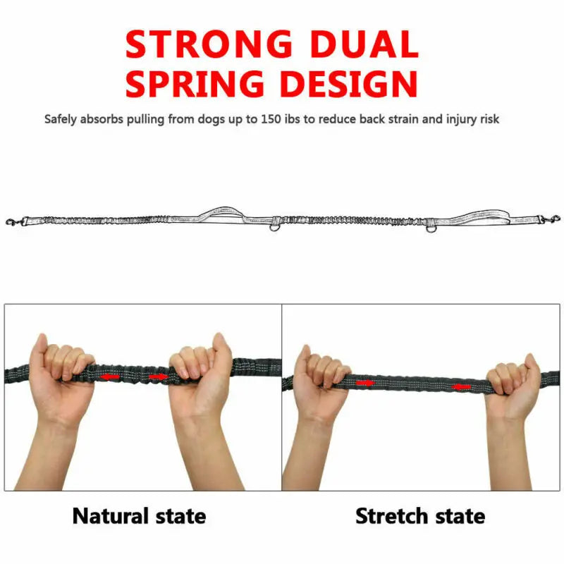 Reflective Elastic Dog Leash for Jogging & Running 🐕💨
