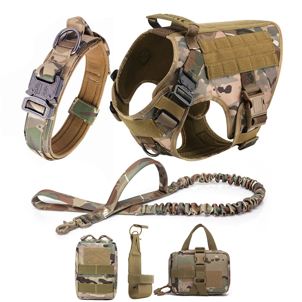 Durable Dog Harness & Leash Set for Large Breeds 🐾💪