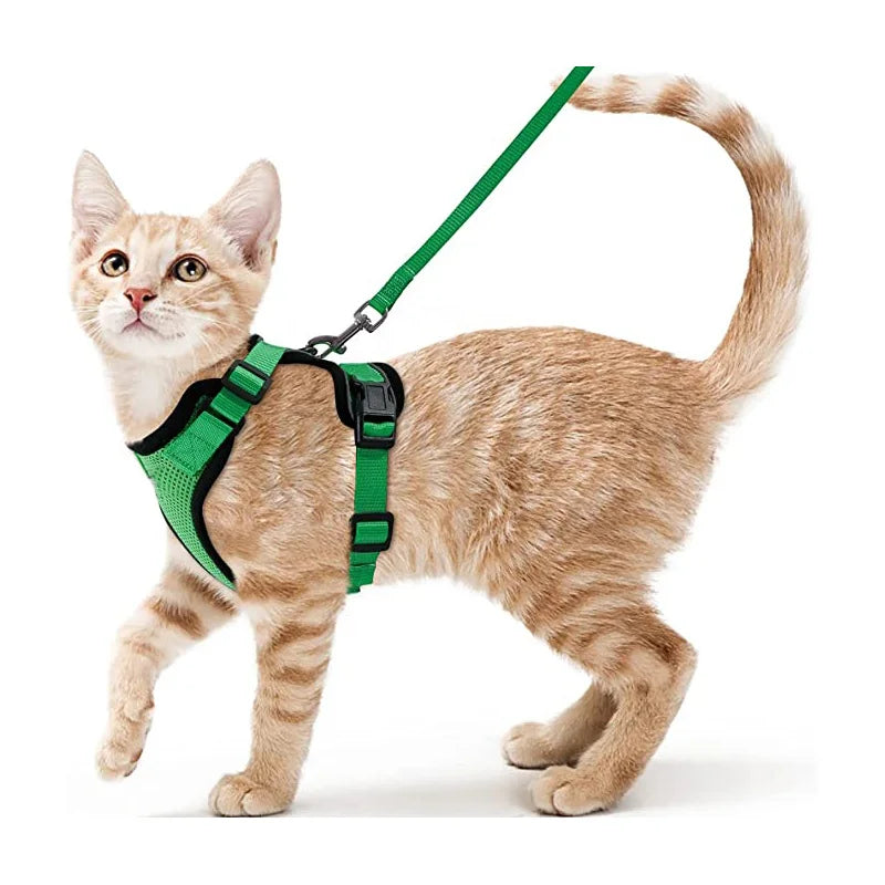 Escape-Proof Cat Harness & Leash for Walking 🐱💨