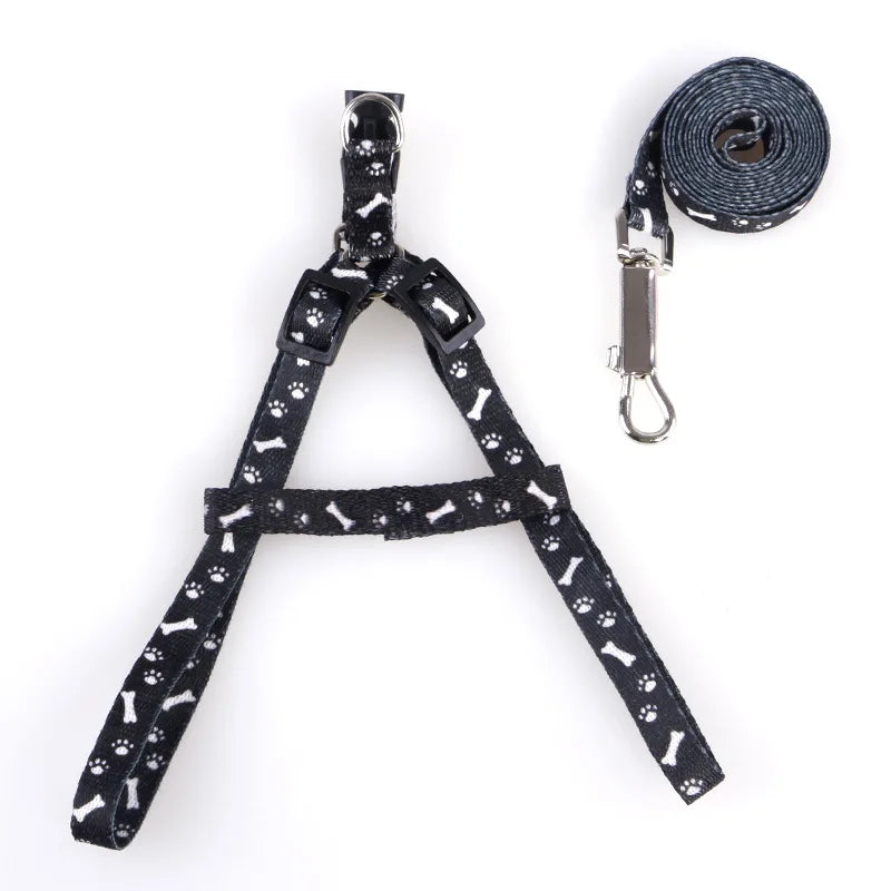Cute Puppy & Kitten Leash & Harness Set 🐾💖