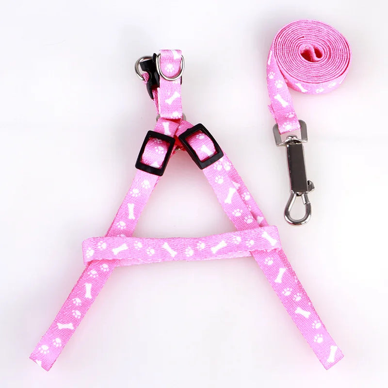 Cute Puppy & Kitten Leash & Harness Set 🐾💖