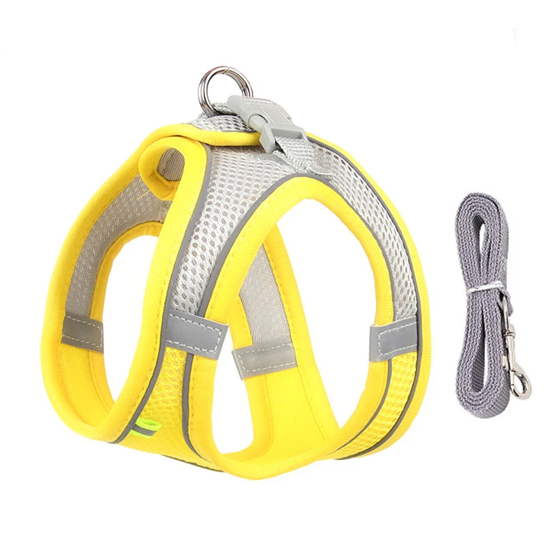 Adjustable Cat & Dog Harness Leash Set for Outdoor Adventures 🐾🌳