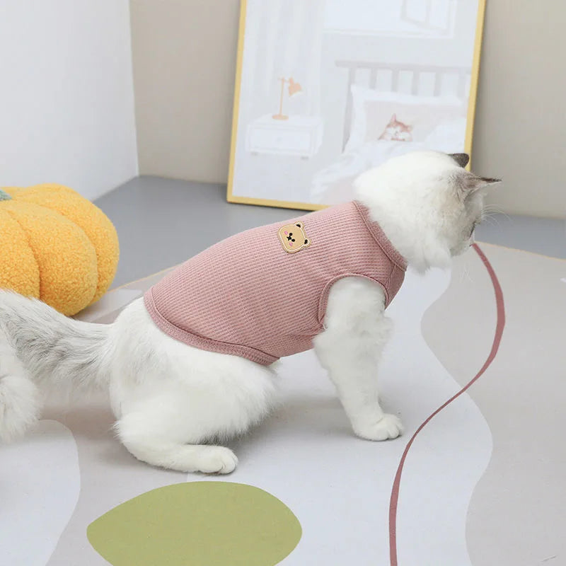 Stylish Bear Vest for Pets 🐾🧸