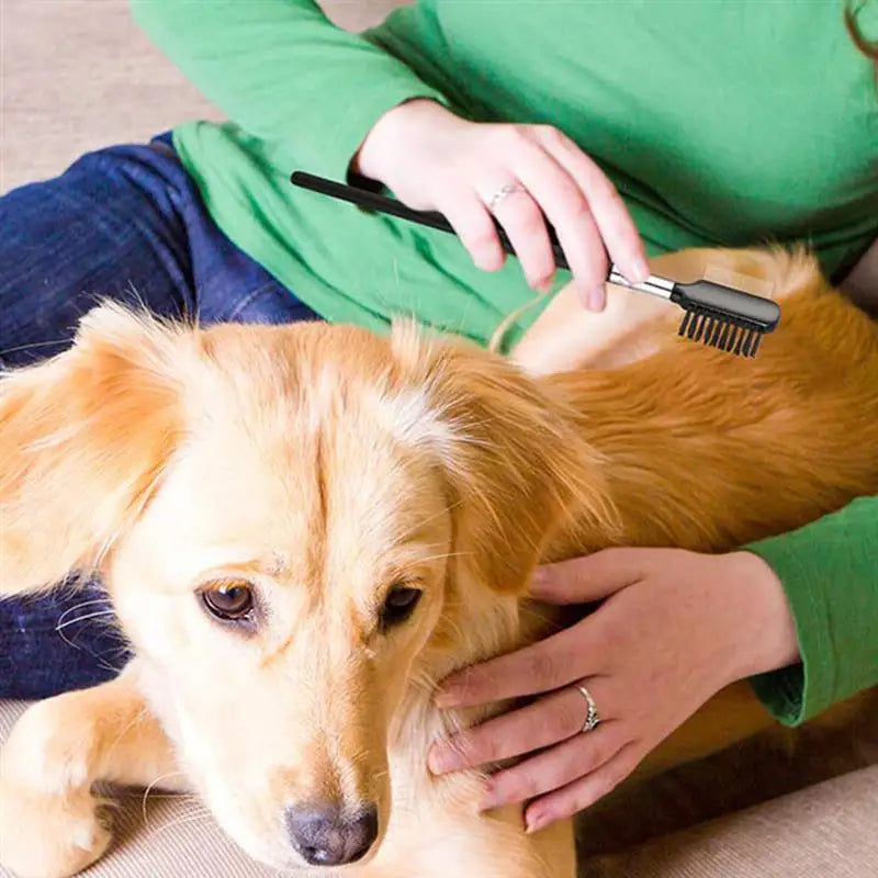 Pet Eye Tear Stain Remover Grooming Brush 🐾👁️