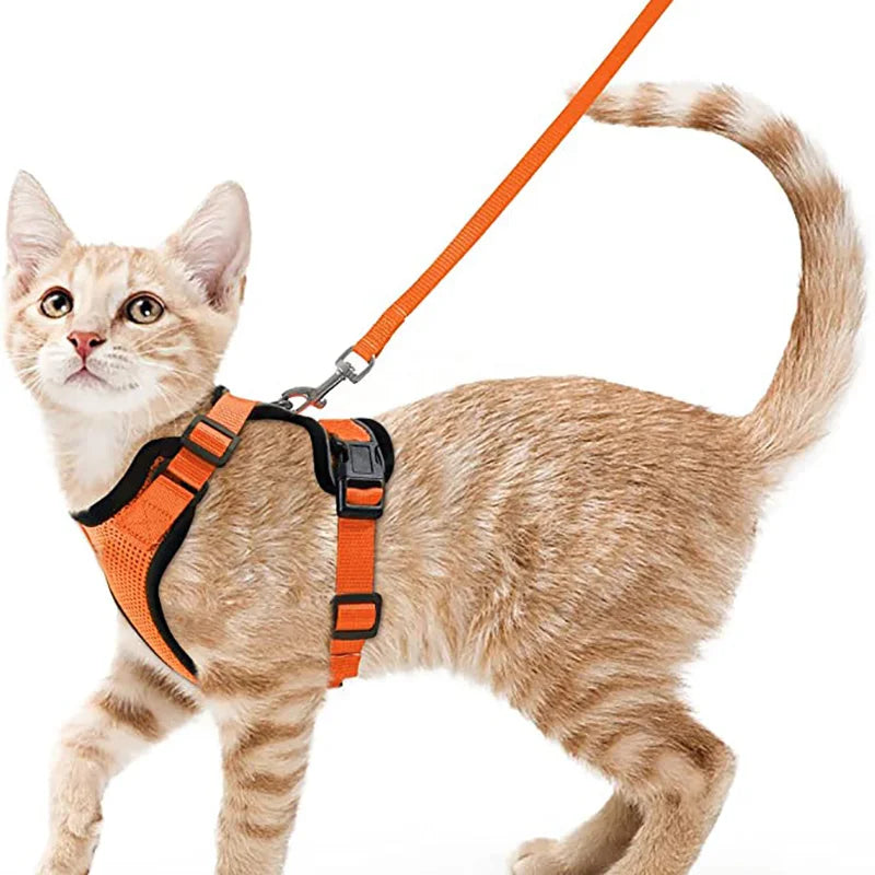 Escape-Proof Cat Harness & Leash for Walking 🐱💨