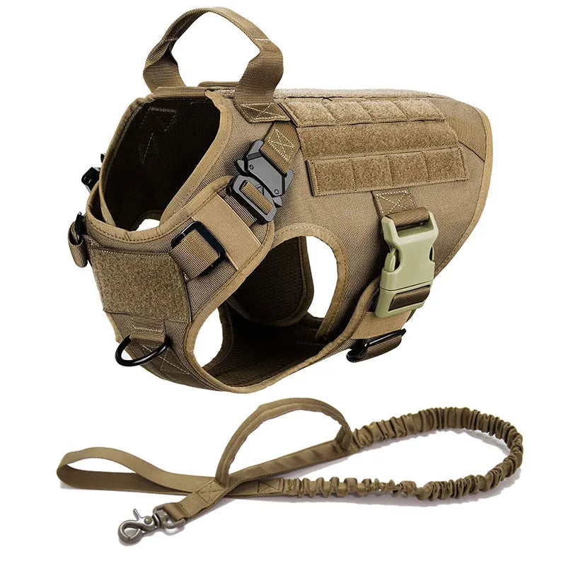 Durable Dog Harness & Leash Set for Large Breeds 🐾💪