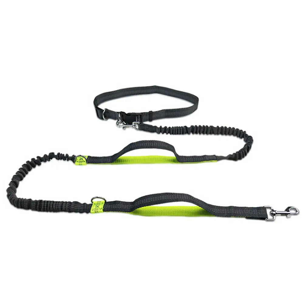 Reflective Elastic Dog Leash for Jogging & Running 🐕💨