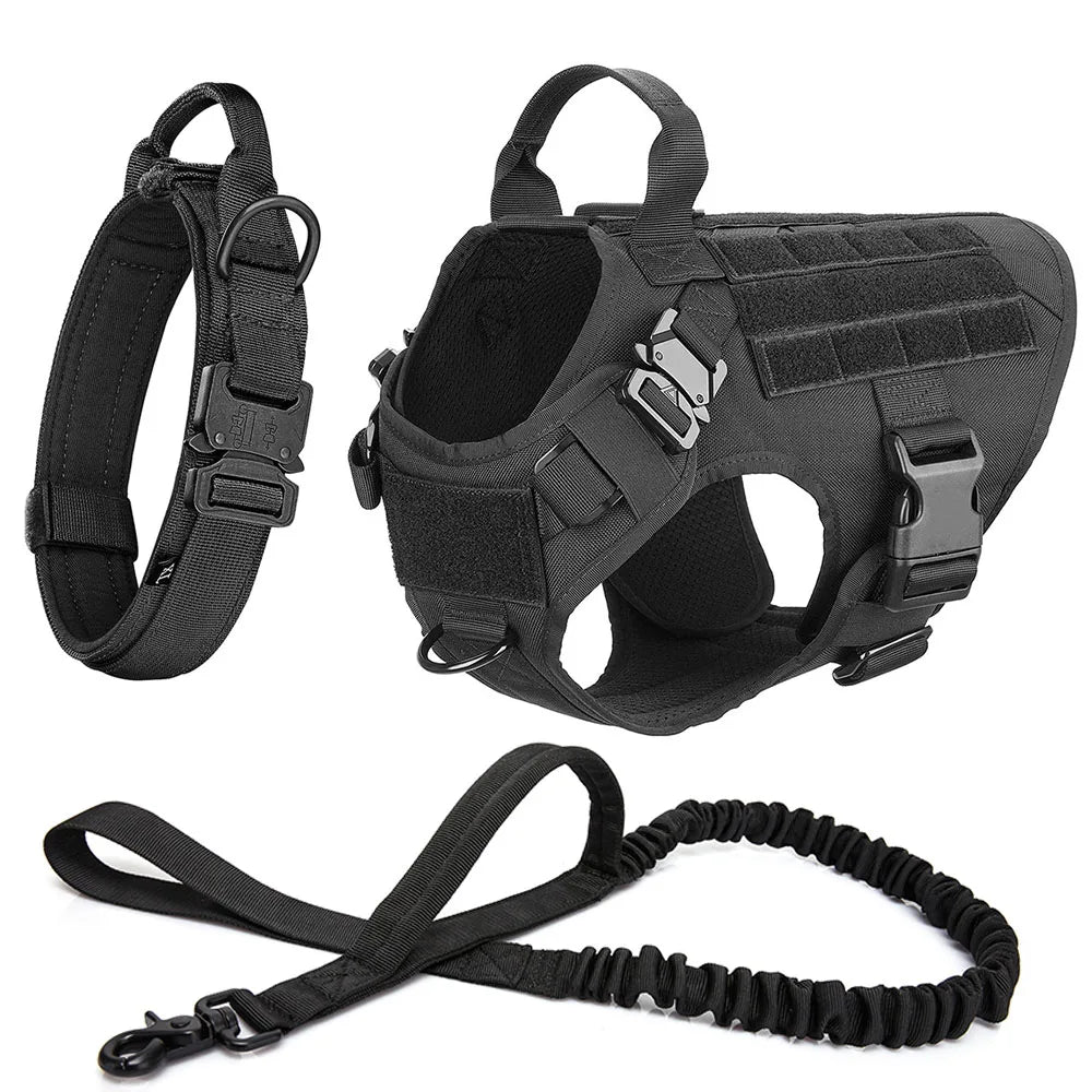 Durable Dog Harness & Leash Set for Large Breeds 🐾💪