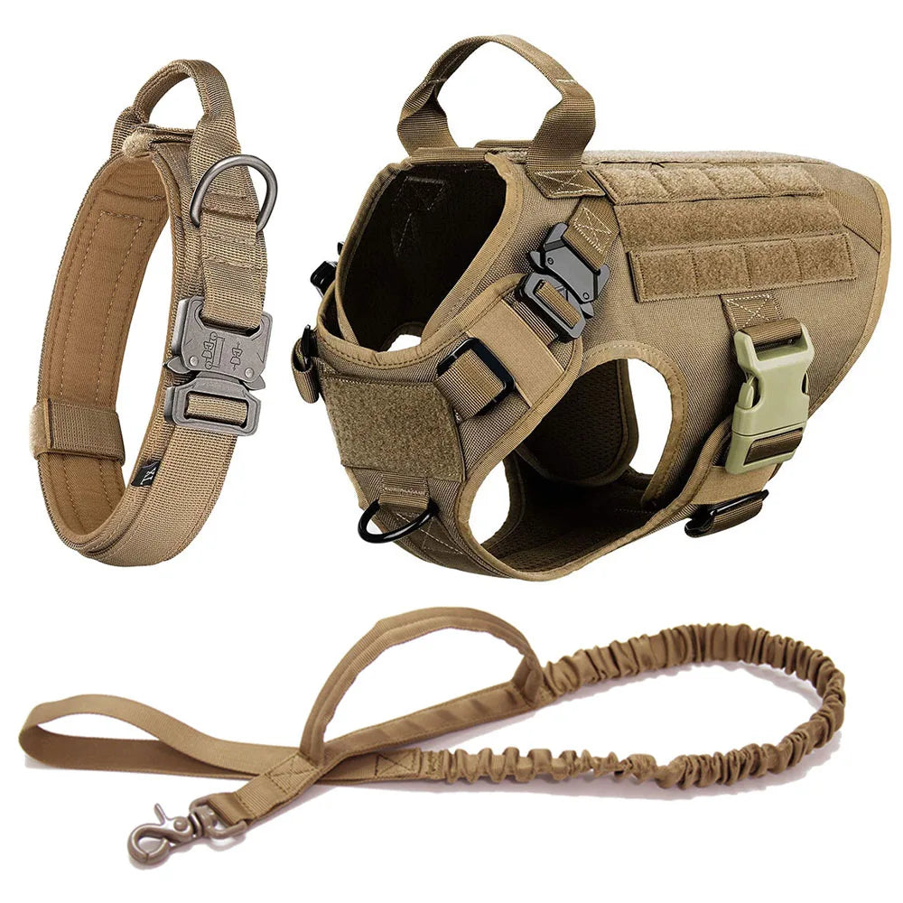 Durable Dog Harness & Leash Set for Large Breeds 🐾💪