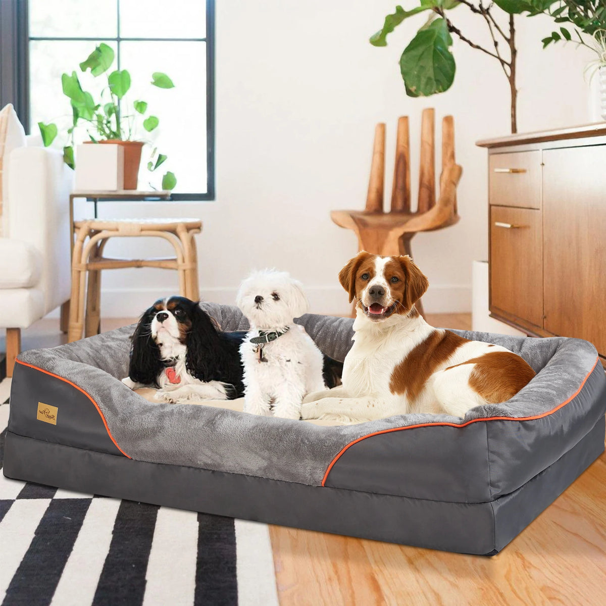 Orthopedic Foam Pet Bed 🐾💤