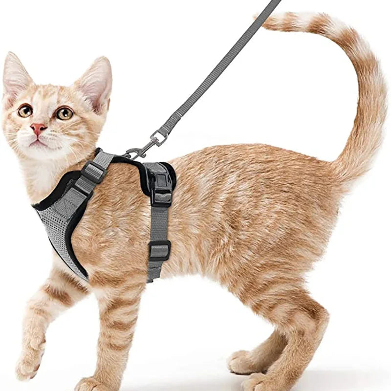 Escape-Proof Cat Harness & Leash for Walking 🐱💨
