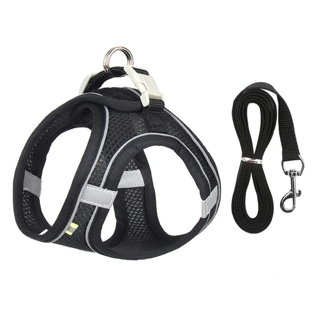 Adjustable Cat & Dog Harness Leash Set for Outdoor Adventures 🐾🌳