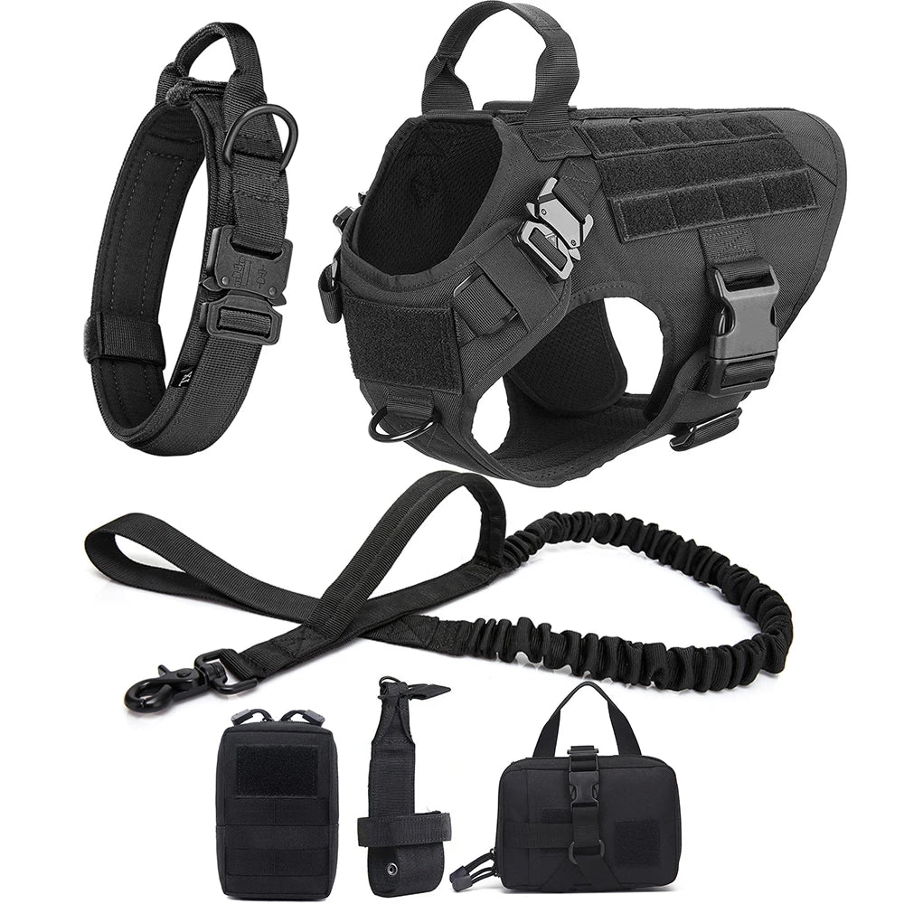 Durable Dog Harness & Leash Set for Large Breeds 🐾💪
