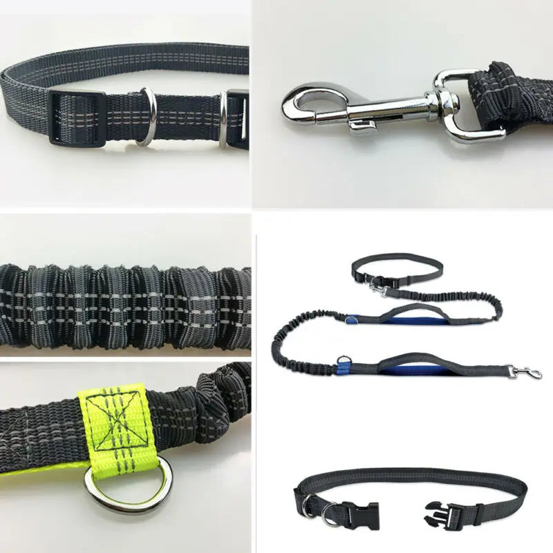 Reflective Elastic Dog Leash for Jogging & Running 🐕💨