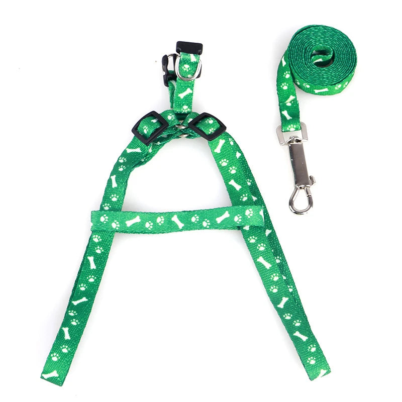Cute Puppy & Kitten Leash & Harness Set 🐾💖