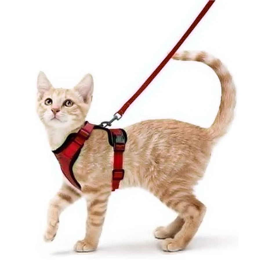 Escape-Proof Cat Harness & Leash for Walking 🐱💨