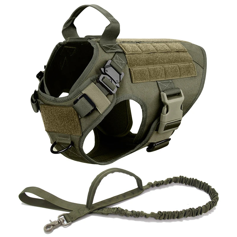 Durable Dog Harness & Leash Set for Large Breeds 🐾💪
