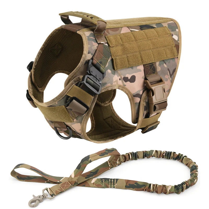 Durable Dog Harness & Leash Set for Large Breeds 🐾💪