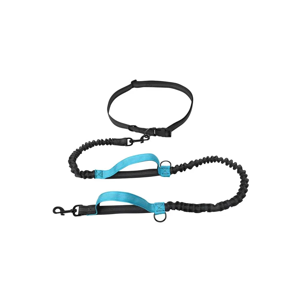 Reflective Elastic Dog Leash for Jogging & Running 🐕💨