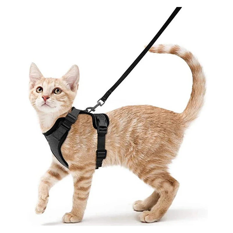 Escape-Proof Cat Harness & Leash for Walking 🐱💨
