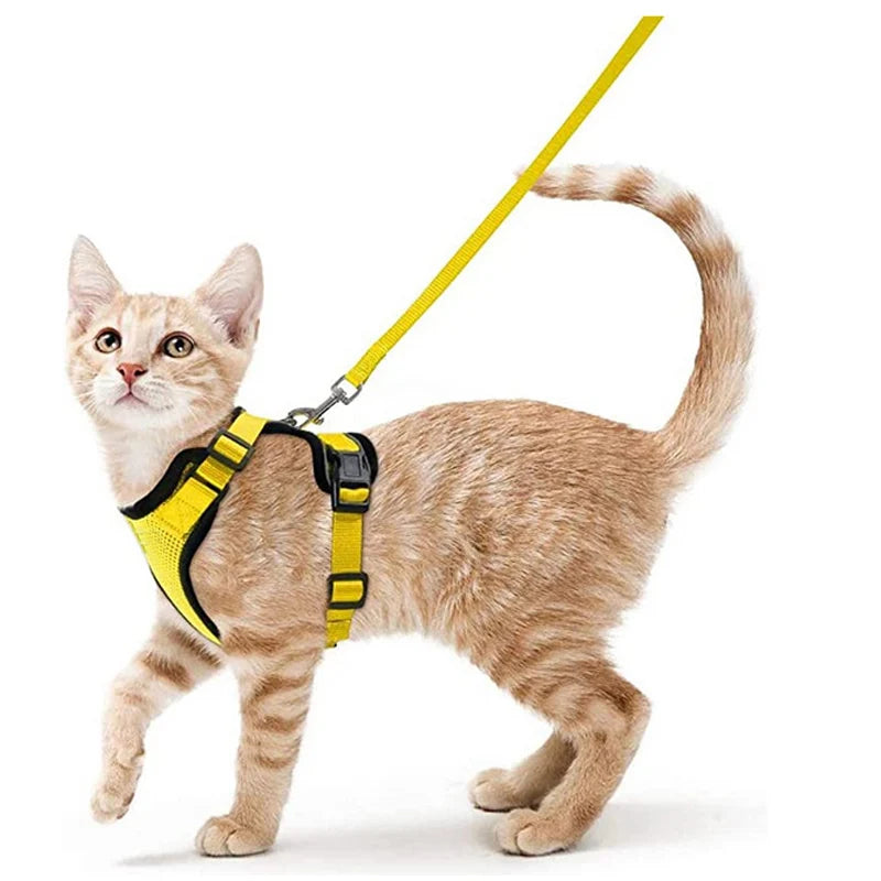 Escape-Proof Cat Harness & Leash for Walking 🐱💨