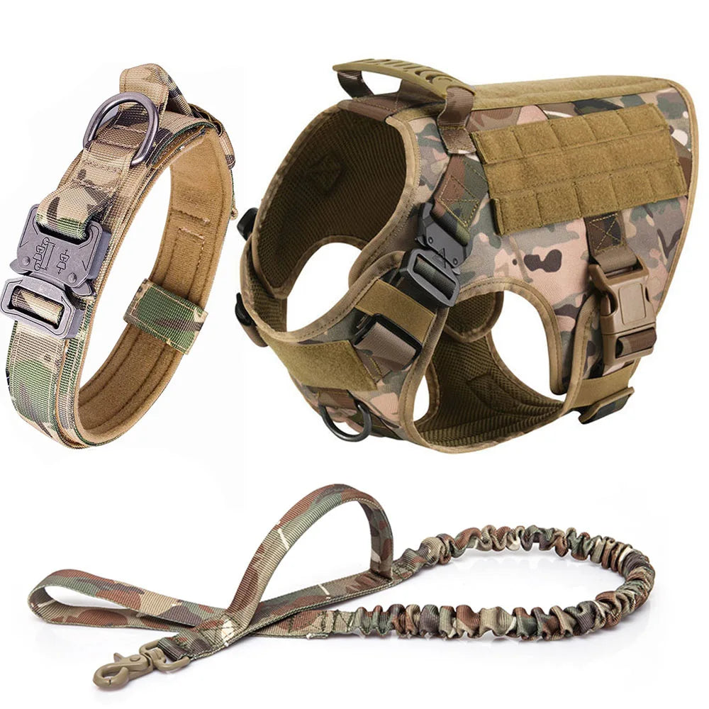 Durable Dog Harness & Leash Set for Large Breeds 🐾💪