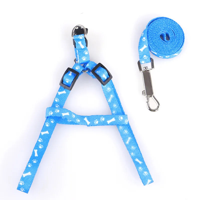 Cute Puppy & Kitten Leash & Harness Set 🐾💖