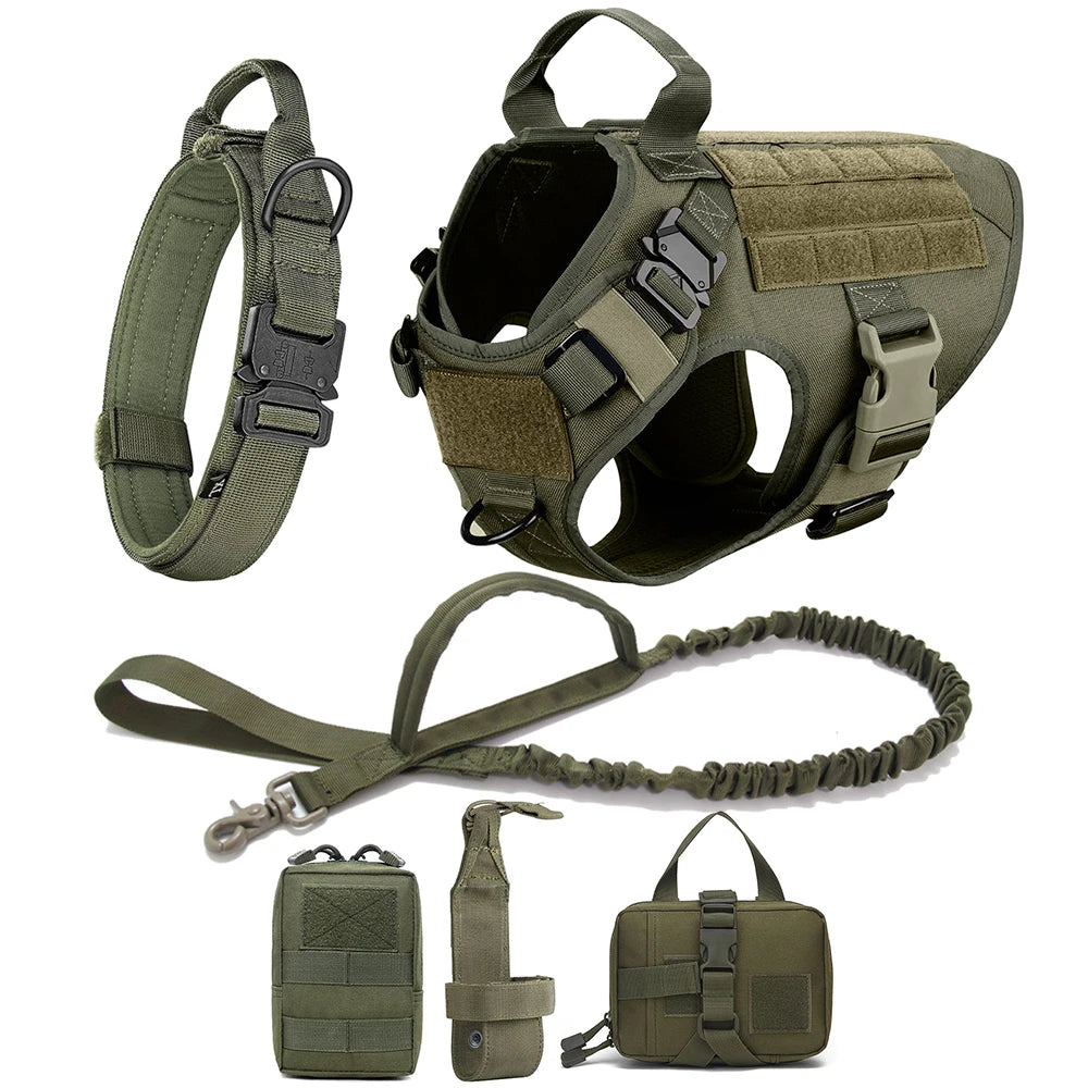 Durable Dog Harness & Leash Set for Large Breeds 🐾💪