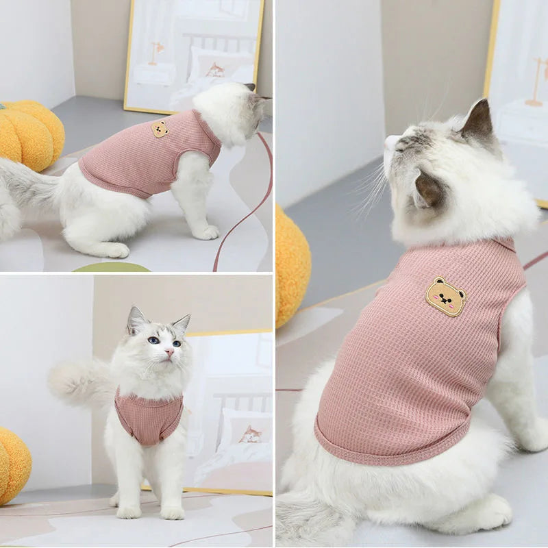 Stylish Bear Vest for Pets 🐾🧸